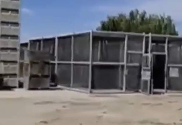 Fields of human cages discovered in Caruthers California: Video