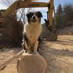 John Edgar Profile Picture