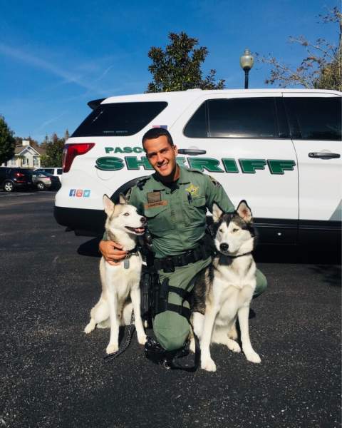 Pasco Sheriff's Office Unveils New Female-Sniffing K9s 'Joe' and 'Biden' - The Pasco Pelican