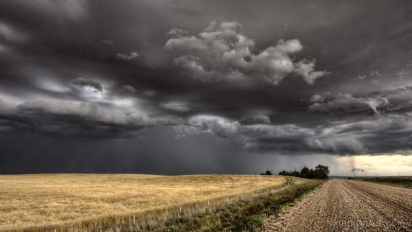 “Great Derecho” storm just destroyed crops, grain stores all throughout the Midwest – NaturalNews.com