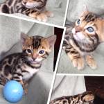 Virginia Profile Picture