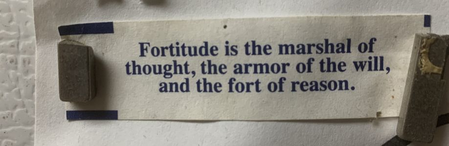 Mac Toirneach Cover Image