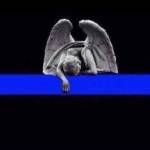 PamUSA Profile Picture