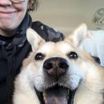 Jennifer Shank Profile Picture