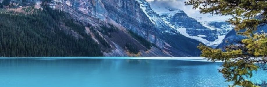 Donna Bowers Cover Image