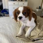 Doris Lin Profile Picture