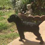 BruceDyer Profile Picture