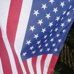 Smooth David Profile Picture