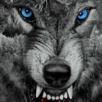 DavidTrotter74 Profile Picture