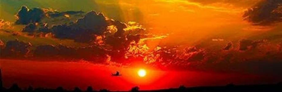 Kelly Regalis Cover Image