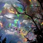 Jacquie Bryce Profile Picture