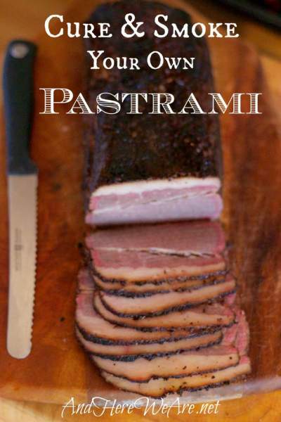Yes, You Can: Make Your Own Pastrami! - And Here We Are | Smoked food recipes, Food, Real food recipes