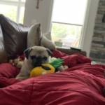 Jeanne Dandrow Profile Picture