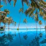 Loretta Bedman Profile Picture