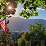 Linda Bicknell Profile Picture