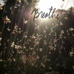 Steffi Slo Profile Picture