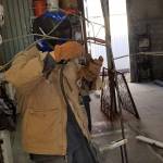 Bird matthews Profile Picture