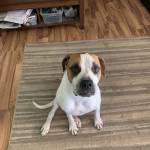 Lisa Ford Profile Picture