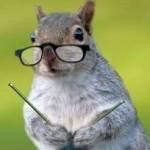 Elisabeth Robinson Profile Picture