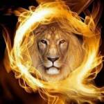 Mark Pack Profile Picture