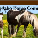 North Idaho Horse Community Profile Picture