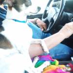 Gary Conrow Profile Picture