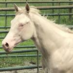 JP Jacobs Profile Picture