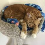 sUSAn16 Profile Picture