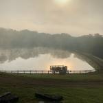 Kkm Pearson Profile Picture