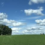 DeannaSmalley Profile Picture