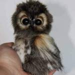 Mindy Profile Picture