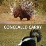 Leslie Green Profile Picture