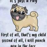 BSullivan Profile Picture