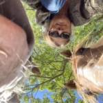Brenda Ladd Profile Picture