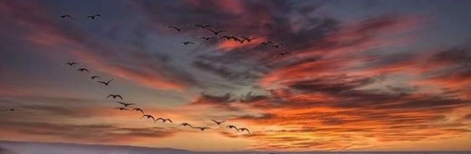 Rick Collins Cover Image