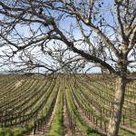 Paul Smith Profile Picture