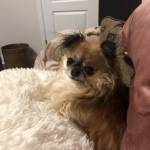 Cindy Hicks Profile Picture