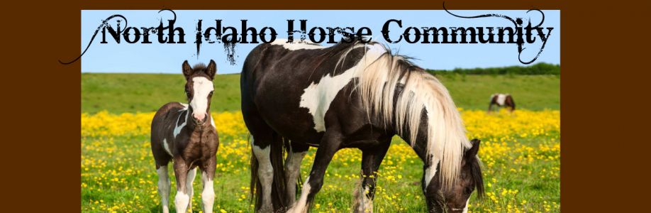 North Idaho Horse Community Cover Image