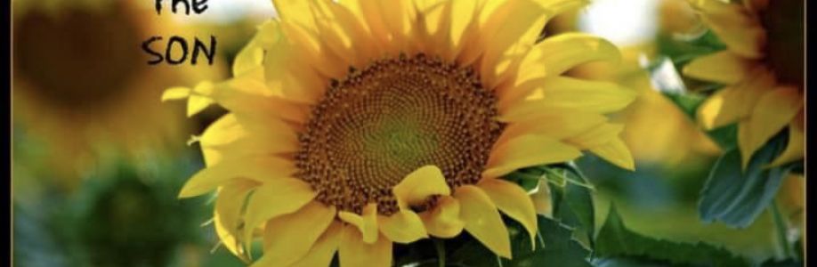 Gina Rayeski Cover Image