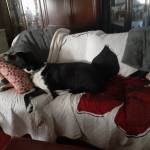 JLLLA20 Profile Picture