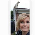 Debbie Harrison Profile Picture