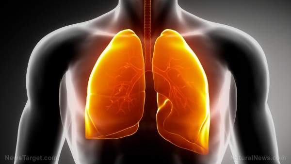10 Ways to DETOXIFY your dirty lungs – NaturalNews.com