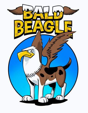 Bald Beagle