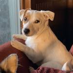 Lisa Rogero Profile Picture