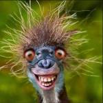 KClendenen Profile Picture