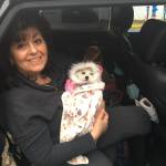 Maria Plunkett Profile Picture