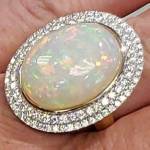 BluOpal profile picture