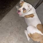 Larissa G Profile Picture