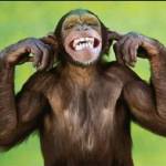 Mark Kellam Profile Picture