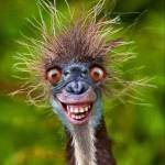 Robert Rutherford Profile Picture